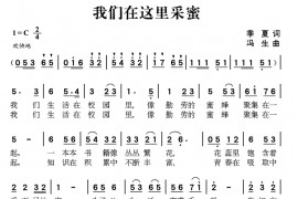 我们在这里采蜜简谱