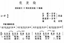 夜发烧简谱