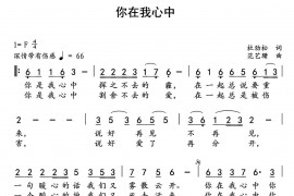 你在我心中（作词：杜劲松作曲：范艺珊）音乐简谱