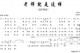老师就是这样简谱