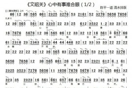 心中有事难合眼1简谱