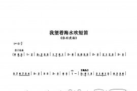 我望着海水吹短笛简谱