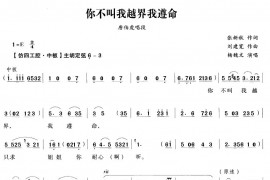 你不叫我越界我遵命（越剧唱段)简谱