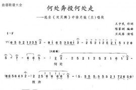 何处奔投何处走简谱