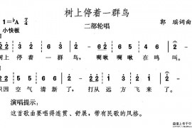 树上停着一群鸟简谱