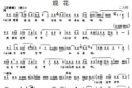 观花简谱