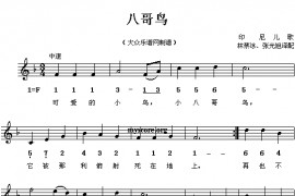 八哥鸟简谱