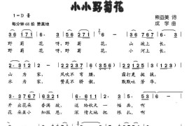 小小野菊花（熊益美词成学曲）简谱