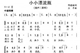 小小漂流瓶（二重唱）简谱