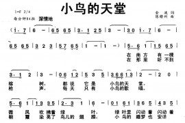 小鸟的天堂简谱