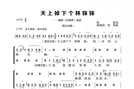 天上掉下个林妹妹简谱
