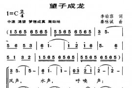 望子成龙简谱