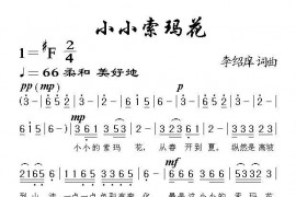 小小索玛花简谱