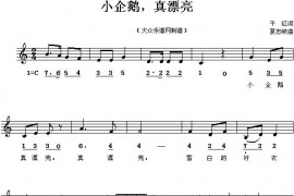 小企鹅，真漂亮（线、混排版）简谱