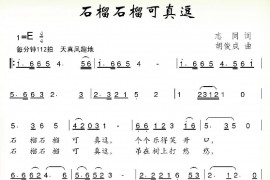 石榴石榴可真逗简谱