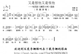 又是想他又是恨他简谱