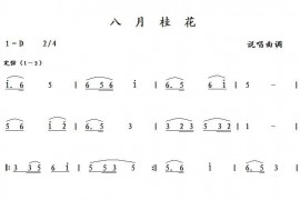 八月桂花简谱