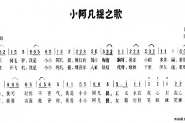 小阿凡提之歌简谱