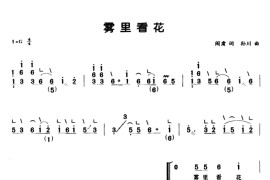 雾里看花（弹唱谱）音乐简谱