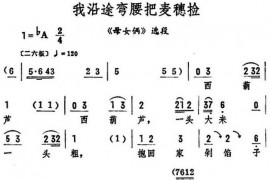 我沿途弯腰把麦穗捡（《母女俩》选段）简谱