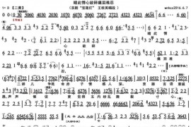 睹此情心欲碎痛泪难忍1简谱