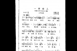 一样的人（插曲）简谱