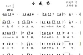 小麦苗简谱