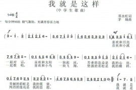 我就是这样简谱