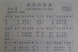 爱你没商量简谱