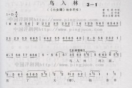 鸟入林简谱