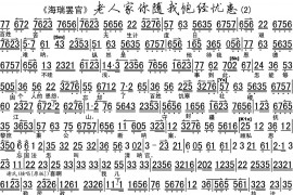 老人家你随我饱经忧患2简谱