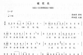 破花名：王美蓉观花唱段（二人转）简谱