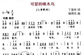 可爱的啄木鸟简谱