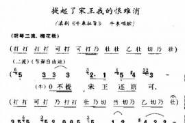 提起了宋王我的恨难消简谱