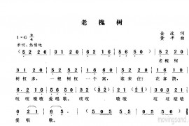 老槐树简谱