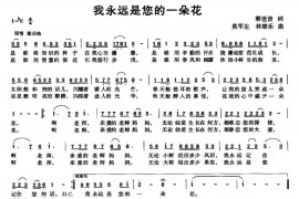我永远是您的一朵花简谱