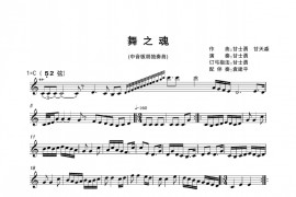 舞之魂（中音板胡、五线谱版）音乐简谱