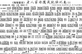 老人家你随我饱经忧患1简谱