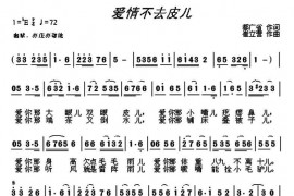 爱情不去皮儿音乐简谱