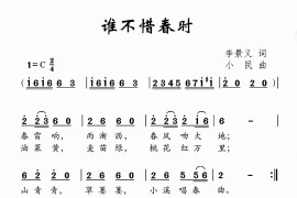 谁不惜春时简谱