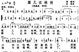 雁儿在林梢简谱
