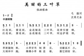 美丽的三叶草简谱