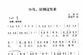 小鸟，请到这里来简谱