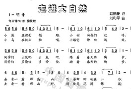 走进大自然简谱