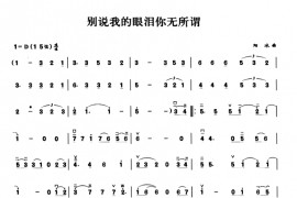 别说我的眼泪你无所谓音乐简谱