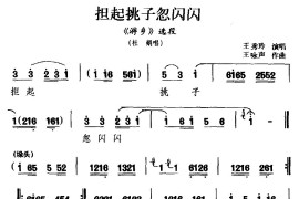 [河南曲剧]担起挑子忽闪闪（《游乡》选段杜娟唱）简谱