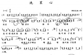 洗菜心简谱