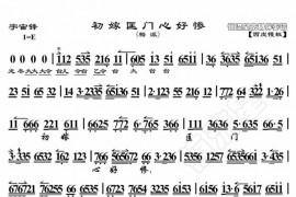 初嫁匡门心好惨1简谱