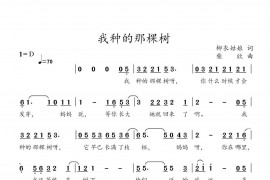 我种的那棵树简谱