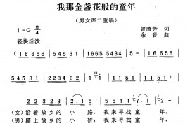 我那金盏花般的童年简谱